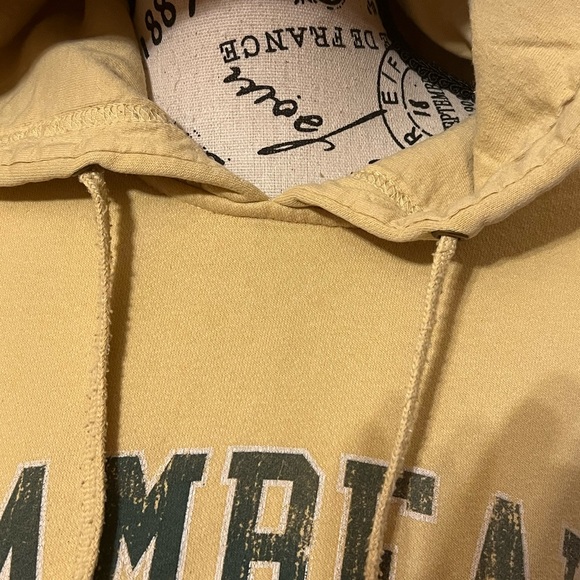 ‼️SOLD‼️ PACKERS Hoodie- LAMBEAU FIELD -in Gold/Green- Unisex- XXL 🏈 - Picture 16 of 16